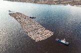 DJI_0111_1.jpg